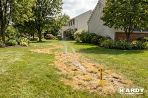 When You Should Leave the House Immediately