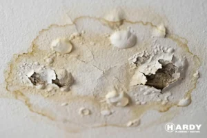 Step 8: Test the Sump Pump if Your Home Has One