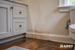 What are the warning signs of a leak?